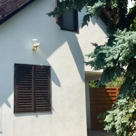 With Thatched Reed Rooftop Keszthely